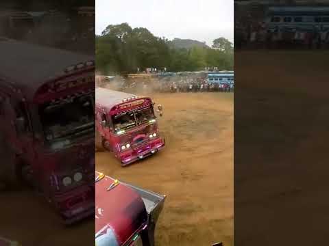 dam rajina bus 😍🤩