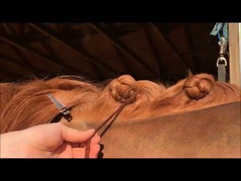 Dutch (scallop) Dressage Braid Tutorial