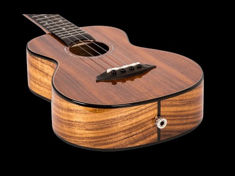 Обзор укулеле Flight Phantom Tenor