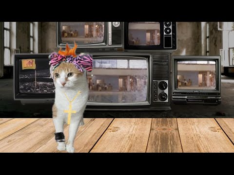 CATS EYE WITNESS NEWS - DAZIE DANCING TO THE 80s