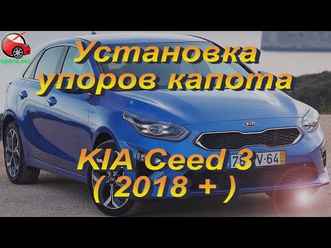 Амортизаторы капота / Упоры капота для KIA Ceed 3 / КИА Сид 3 (2018+) - фото 1 - id-p1448919923