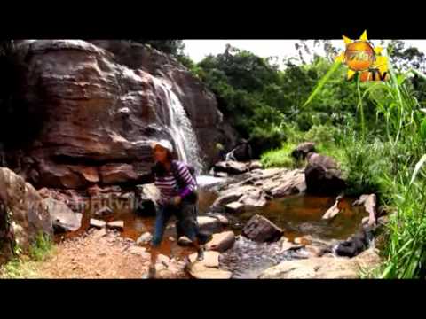 Hiru TV