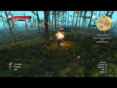 The Witcher 3 PS4 - A Towerful of mice, 01
