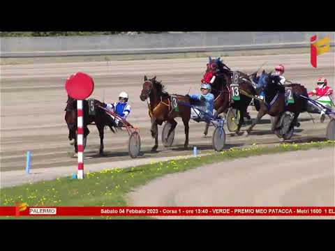 I Corsa del 4 febbraio 2023 - 3 Anni - Metri 1600
