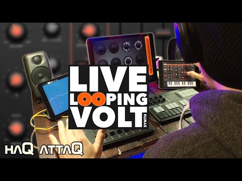 LOOPY and VOLT Synth LIVE Looping Improv | haQ attaQ