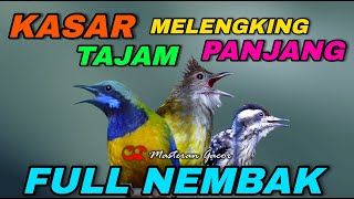 Download lagu CUCAK JENGGOT VS CUCAK CUNGKOK VS PELATUK BERAS/SAMPIT TEMBAKAN KASAR PANJANG COCOK BUAT MASTERAN mp3