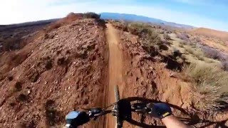 Highlights of the upper Cryptobionic.