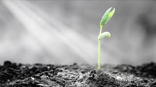 Faithful by Erik Nieder