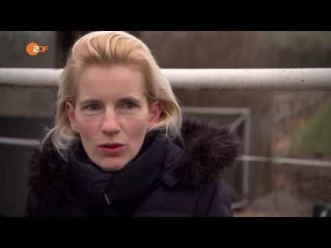 Dokumentarfilm und Politik [Doku] Albtraum Traumjob Durchhalten oder neu anfangen!