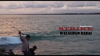 Download lagu STRIKE walaupun badai | Mancing di pantai Bengkulu mp3 Download lagu STRIKE walaupun badai | Mancing di pantai Bengkulu mp3
