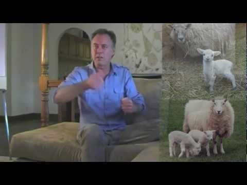 The Insanity of Humanity