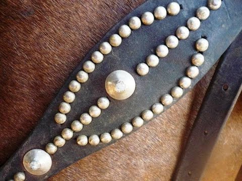 FG Saludo Mi LLano - Alfonso NIño