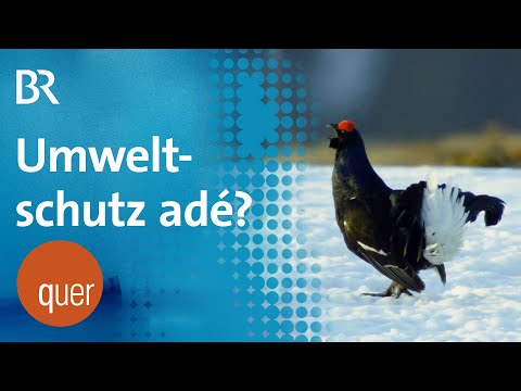 Modernisierung per Gesetz: Allgäuer Gipfel der Unmöglichkeiten  | quer vom BR