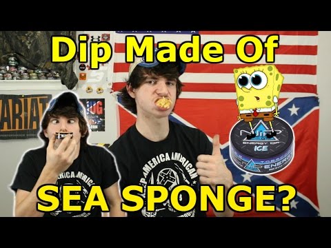 download lagu mp3 mp4 Sea Sponge Dip, download lagu Sea Sponge Dip gratis, unduh video klip Sea Sponge Dip