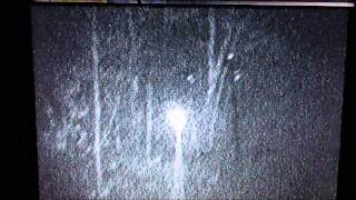 Yukon Night Ranger test