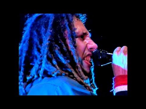 Rage Against The Machine Rock Hall Nominee Sleep Now In The Fire Live