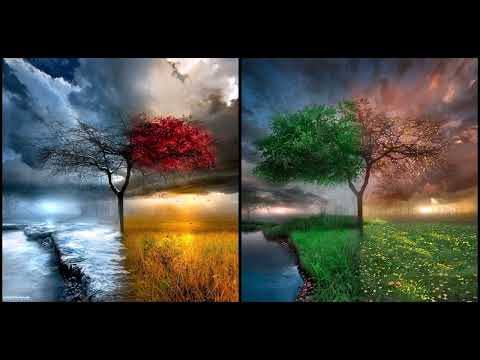 Vivaldi - The Four Seasons (L. Maazel, Vienna Philharmonic Orchestra)