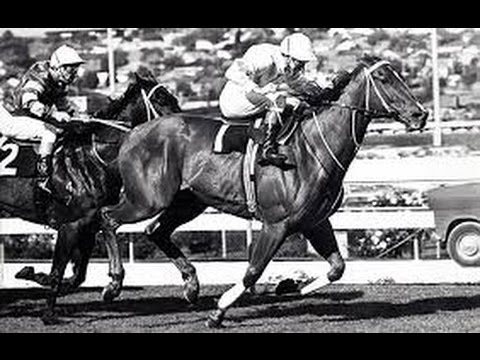 1982 MVRC W S Cox Plate Day Audio
