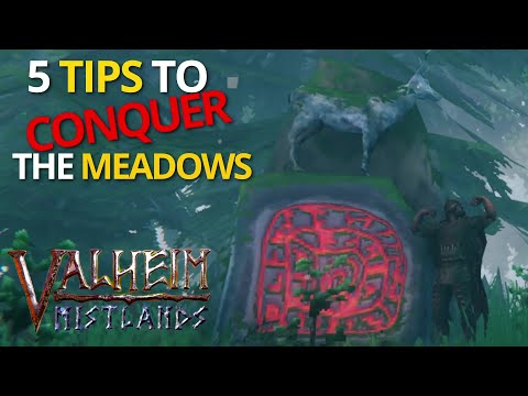 5 Tips For Conquering The Meadows - Valheim