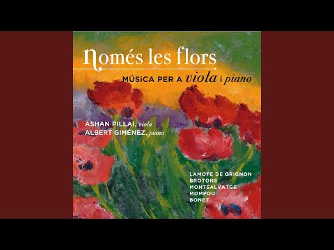 Damunt de tu Només les Flors