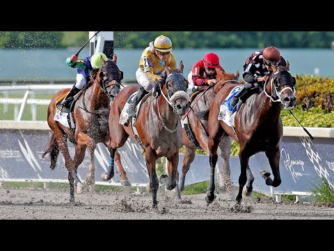 Here are the big winners of the 2019 Summit of Speed