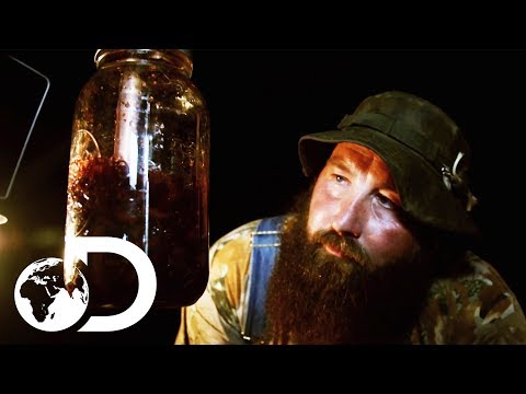 This Sweet Tasting Mulberry Infused Whisky Will Blow...