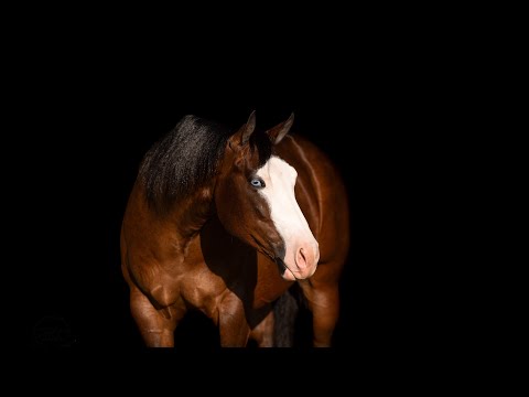 youtube preview