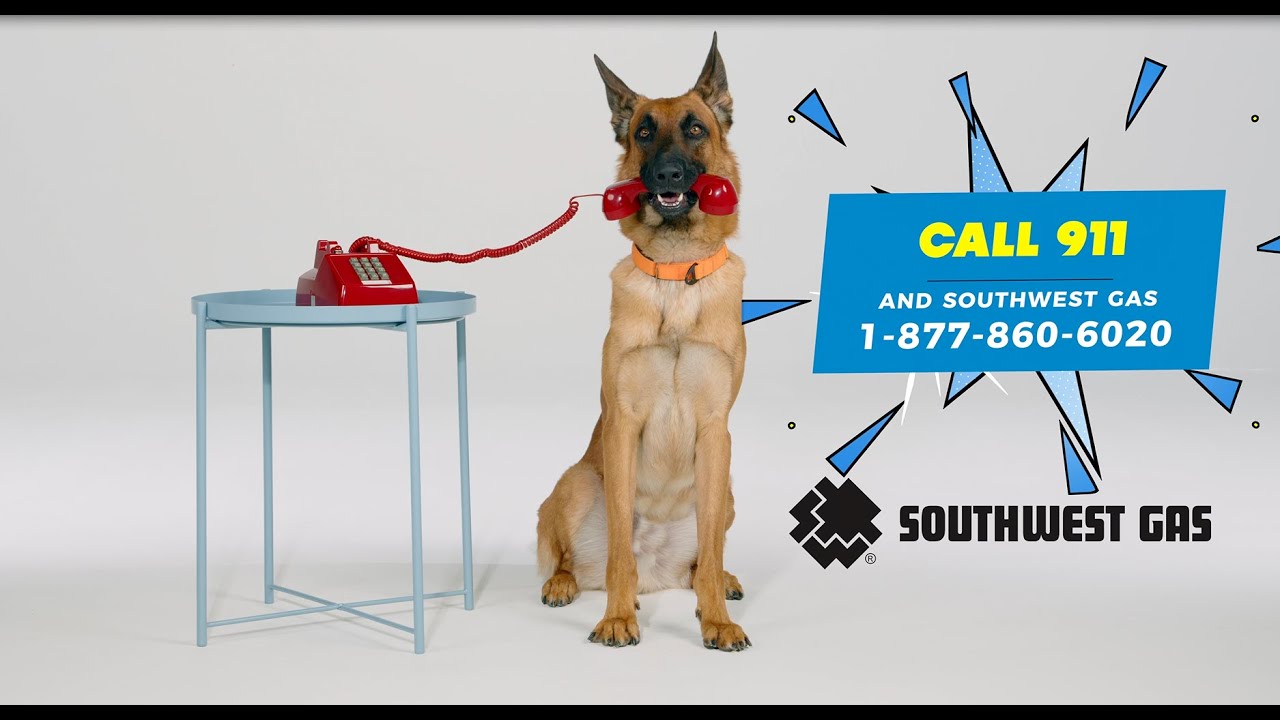 Recognize the Signs of a Potential Natural Gas Leak (15 seconds)