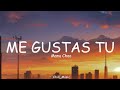 Manu Chao Me Gustas Tu Lyrics Loop Video