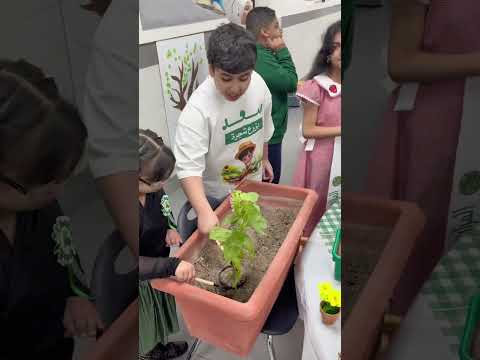Greening Week in Al Nibras Ideal School
