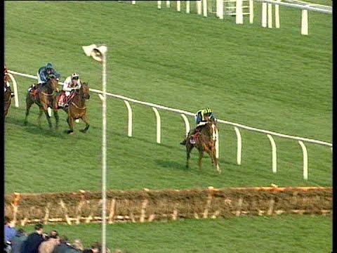 Make A Stand - 1997 Champion Hurdle