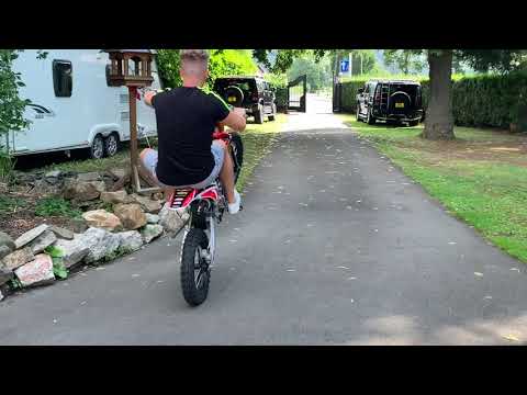2019/2020 Welsh Pit Bike The Beast 190cc Electric Start