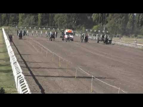 BELTRAN   11°  EMPRESARIO   26-2-23