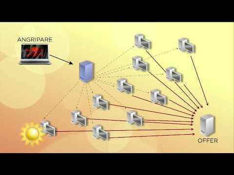 IT-säkerhetsexperten: "Det här är inte Sveriges undergång" - Nyhetsmorgon (TV4)