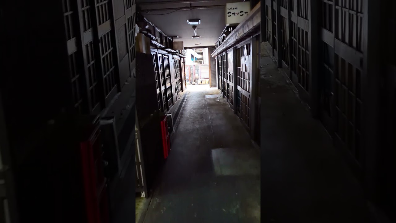 Tunnel Yokocho in Nishikujo, Osaka City