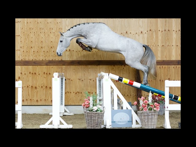 jumping