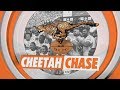 Cheetah Chase Episode 103