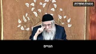 הגה״ח הרב ווכטר שליט״א | עם ישראל ואומות העולם - מי בראש (הרב אברהם מנחם מענדל וכטר) - התמונה מוצגת ישירות מתוך אתר האינטרנט יוטיוב. זכויות היוצרים בתמונה שייכות ליוצרה. קישור קרדיט למקור התוכן נמצא בתוך דף הסרטון