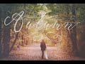 Serenity Olivia Script Font Font