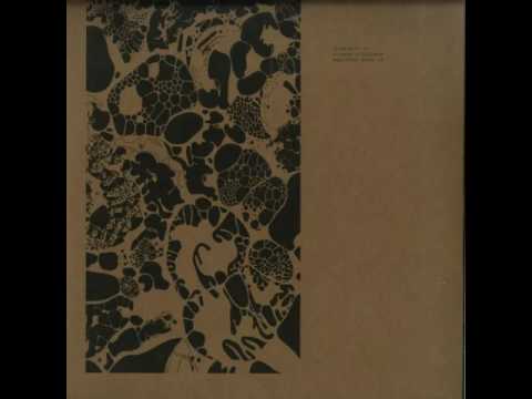 Ricardo Villalobos - Widodo [arpiar015]