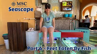 Tiffany Gets Her Feet Eaten By Fish