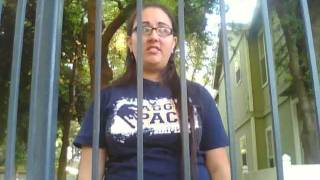 A Mirror Behind Bars: Animal Welfare and Stress Behaviors