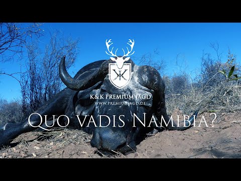caccia: Namibia - Mito Nyae Nyae: a caccia di elefanti, bufali e antilopi nella terra dei Boscimani