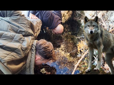 U POTRAZI ZA ČISTOM VODOM-IZVOR ZVIZDA