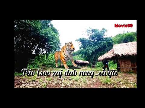 Txiv tsov zaj dab neeg__siv_yis