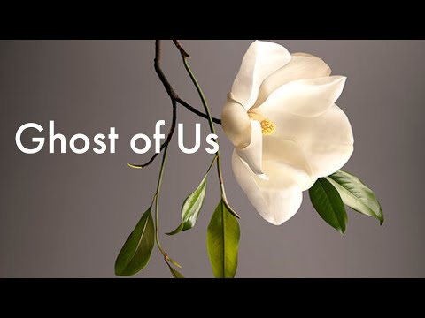 Ghost of Us - Alder. [ #music #lyrics ]
