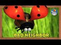 Minuscule - The Ladybug
