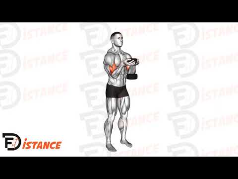 Exercice Curl biceps haltère du serveur