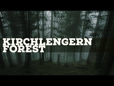 Most Haunted Places In The World Episode 1 - Kirchlengern Forest