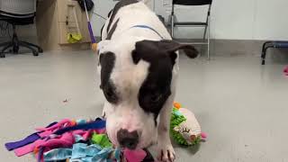 Hanging Out with Cuddly Oden #236905 !